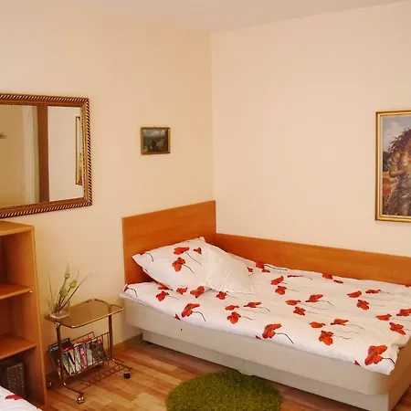 Mieszkanie W Centrum *