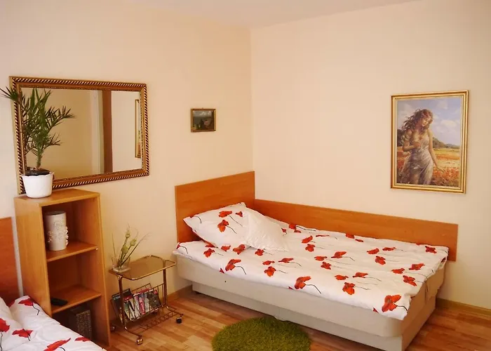 Mieszkanie W Centrum *